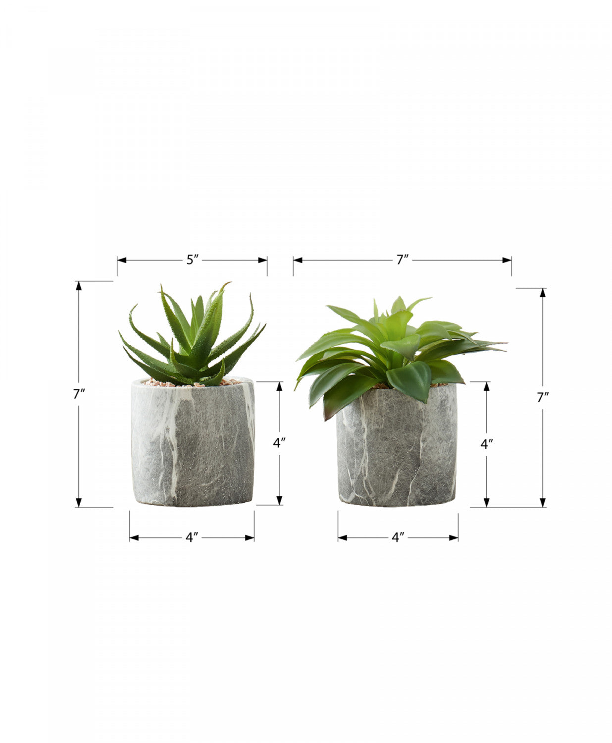 7" Succulent Plant With 4" Marble-look Pot - Green - Set of Two
