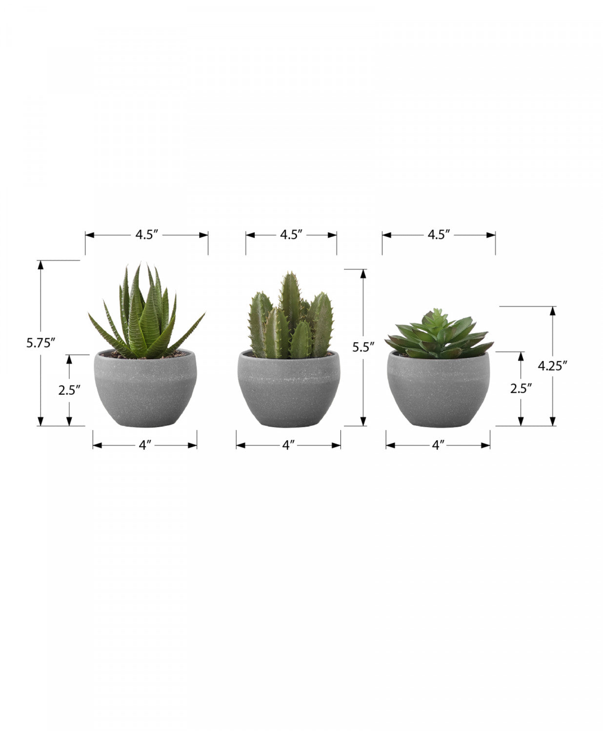 6" Succulent Plant With Grey Pot - Green - Set of Three
