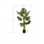 55" Monstera Plant With 6" Black Pot - Green