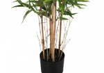 50" Bamboo Tree With 5" Black Pot - Green
