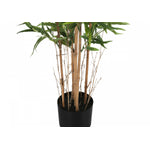 50" Bamboo Tree With 5" Black Pot - Green