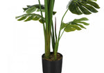 55" Monstera Plant With 6" Black Pot - Green