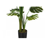 55" Monstera Plant With 6" Black Pot - Green