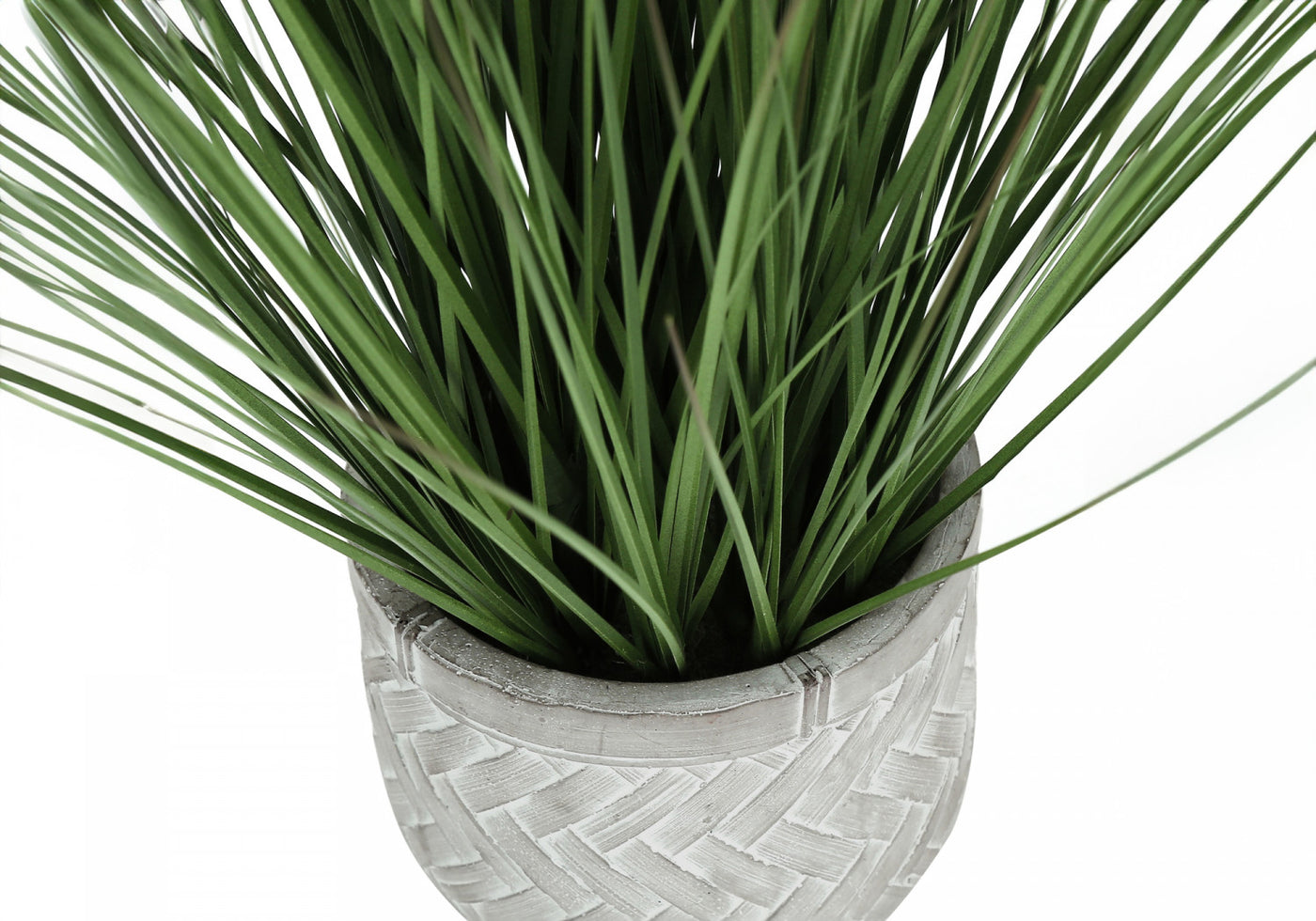 21" Grass Plant With 4" White Pot - Green