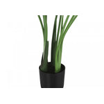 44" Bird Of Paradise Plant With 5" Black Pot - Green