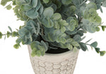 13" Eucalyptus Grass Plant With 4" White Pot - Green - Set of Two