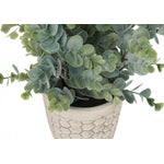13" Eucalyptus Grass Plant With 4" White Pot - Green - Set of Two