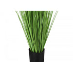 47" Grass Plant With 5" Black Pot - Green