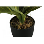 17" Dracaena Plant With 4" Black Pot - Green