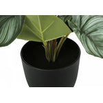 13" Epipremnum Plant With 4" Black Pot - Green - Set Of Two