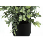 11" Eucalyptus Grass Plant With 5" Black Pot - Green - Set of Two