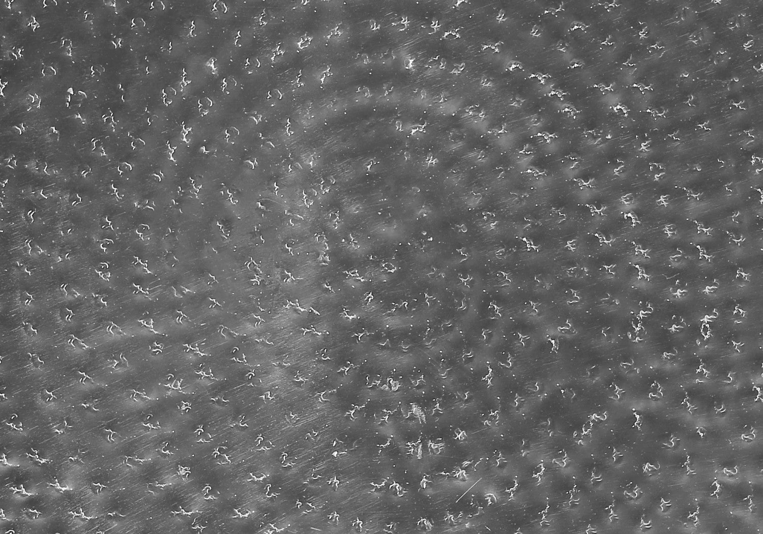 Daxi Side Table - Chrome