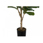 47" Fiddle Tree With 5" Black Pot - Green