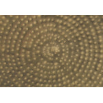 Lorik Side Table - Gold