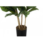41" Fiddle Tree With 5" Black Pot - Green