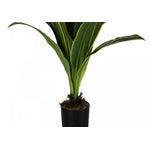 47" Dracaena Tree With 5" Black Pot - Green