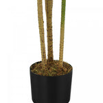 51" Dracaena Plant With 5" Black Pot - Green