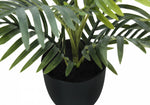 20" Palm Plant With 5" Black Pot - Green