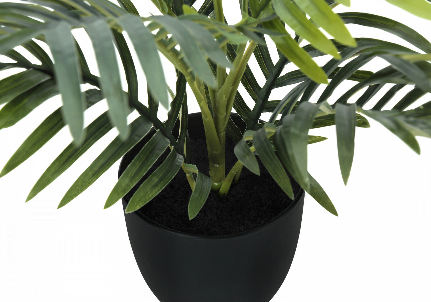 20" Palm Plant With 5" Black Pot - Green