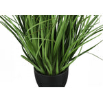 26" Grass Plant With 4" Black Pot - Green