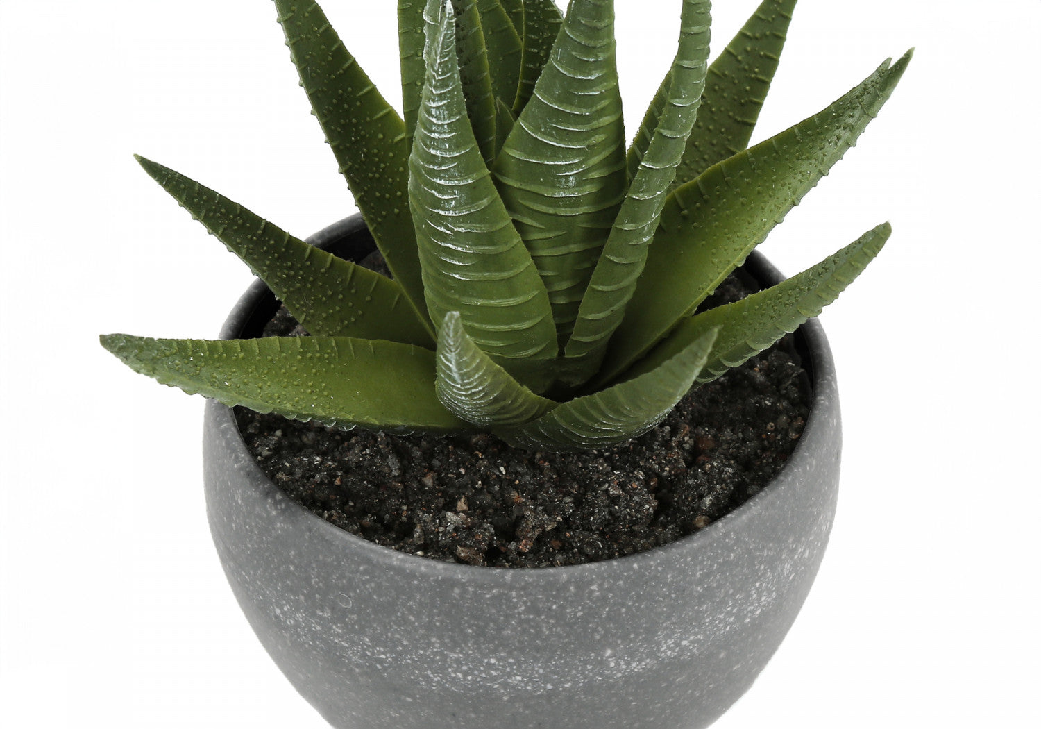 6" Succulent Plant with Grey Pot - Green - Set of Three