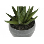 6" Succulent Plant With Grey Pot - Green - Set of Three