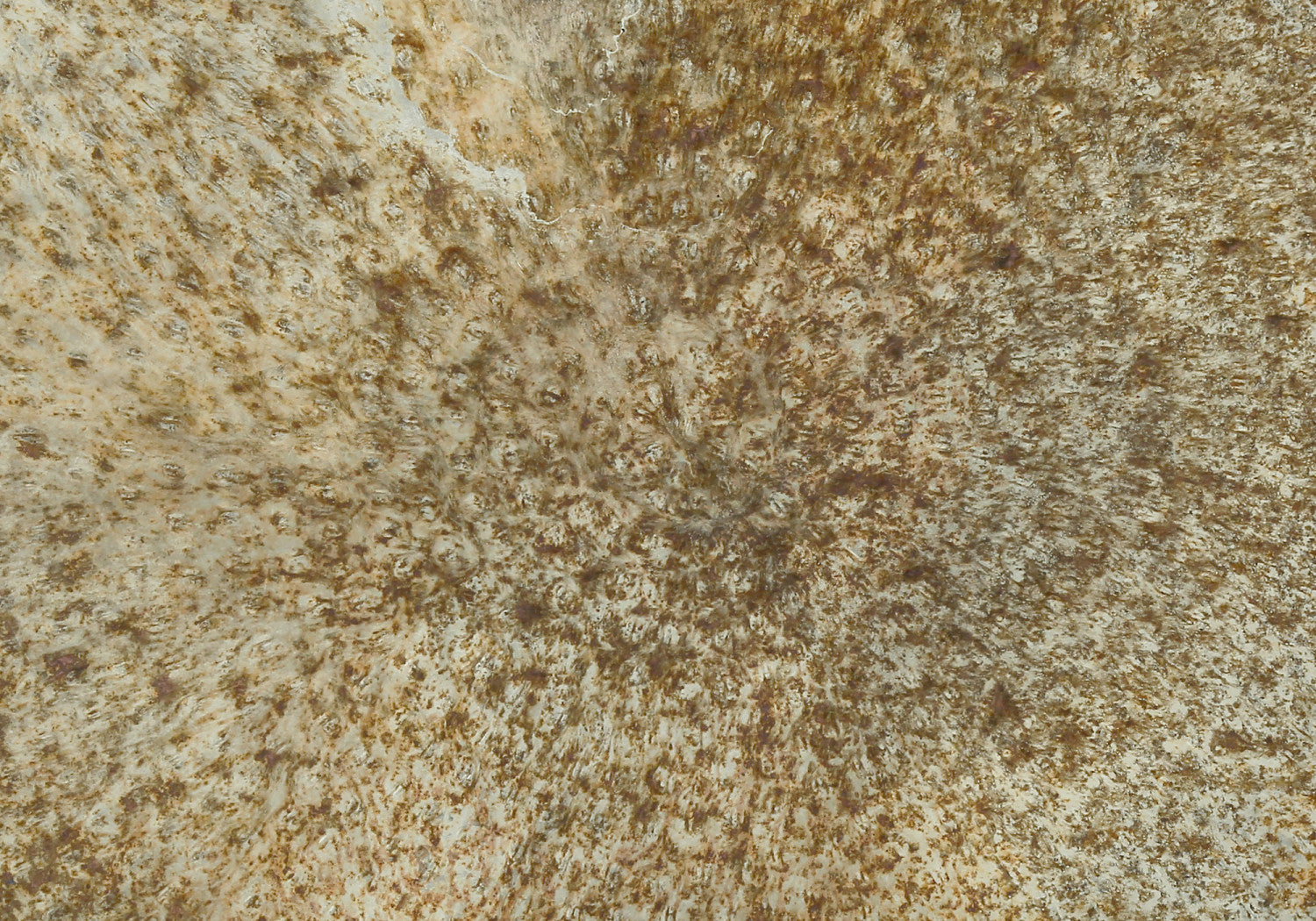 Lorik Side Table - Antique Gold