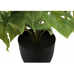 13" Monstera and Calathea Plants With 4" Black Pot - Green - Set of Two