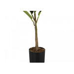 40" Rubber Tree With 5" Black Pot - Green