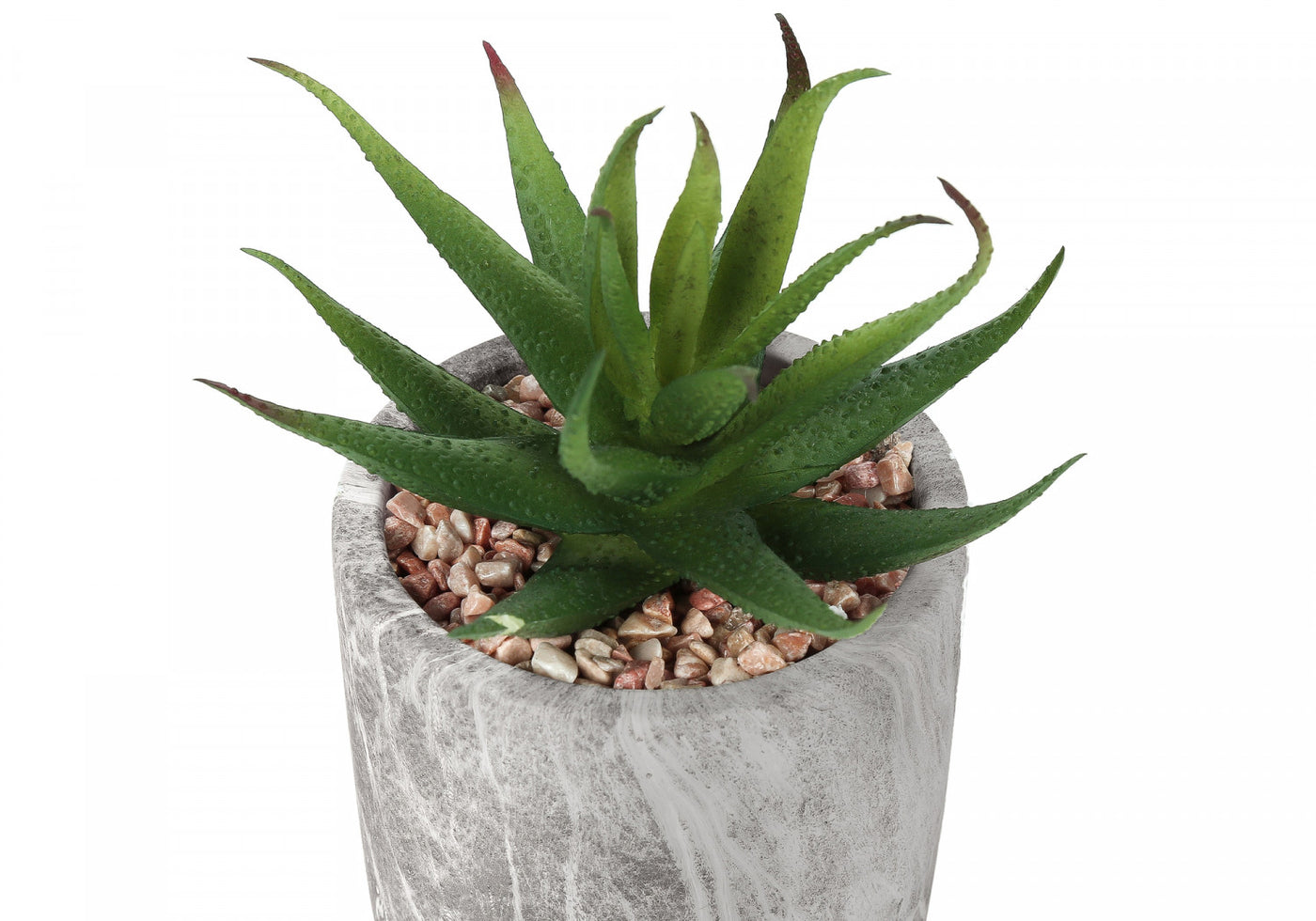 7" Succulent Plant With 4" Marble-look Pot - Green - Set of Two