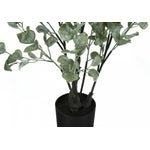 35" Eucalyptus Plant With 5" Black Pot - Green