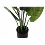 37" Aureum Plant With 5" Black Pot - Green