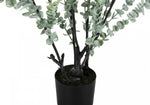 44" Eucalyptus Plant With 5" Black Pot - Green