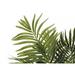 47" Areca Tree With 5" Black Pot - Green