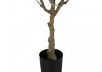 46" Eucalyptus Tree With 5" Black Pot - Green
