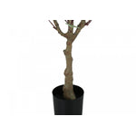 46" Eucalyptus Tree With 5" Black Pot - Green