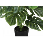 24" Monstera Plant With 5" Black Pot - Green