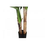 55" Banana Tree With 6" Black Pot - Green