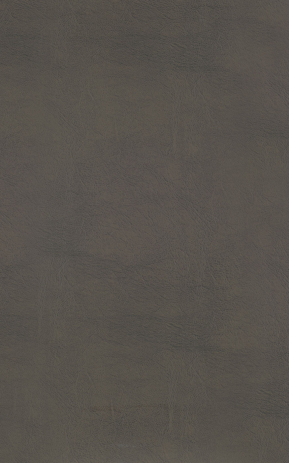 Ordway Counter Height Stool Grey Leon's