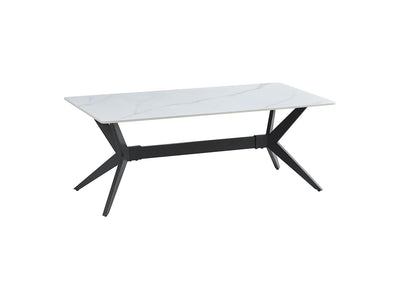 Kalani 47" Coffee Table - White Sintered Stone & Black Metal