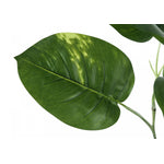54" Dieffenbachia Tree With 6" Black Pot - Green