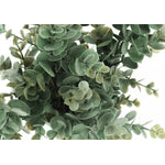 13" Eucalyptus Grass Plant With 4" White Pot - Green - Set of Two