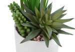 7" Succulent Plant with 3" White Pot - Green - Set of Two