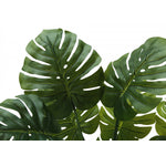 45" Monstera Plant With 6" Black Pot - Green