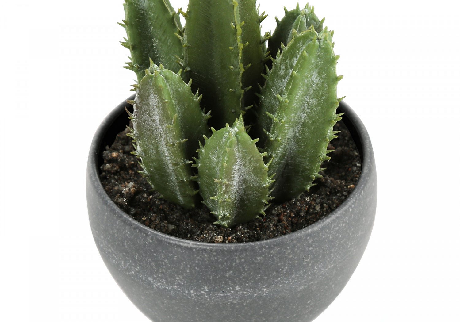 6" Succulent Plant with Grey Pot - Green - Set of Three