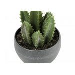 6" Succulent Plant With Grey Pot - Green - Set of Three
