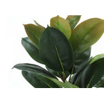 40" Rubber Tree With 5" Black Pot - Green