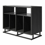 Regal Double Wide Record Station/Accent Cabinet - Black Oak