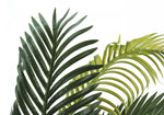 47" Palm Tree With 6" Black Pot - Green