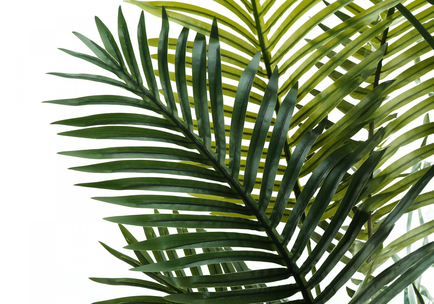 47" Palm Tree With 5" Black Pot - Green